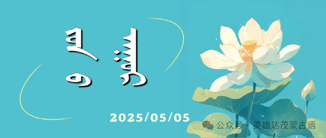 微信图片_20250506113324.png